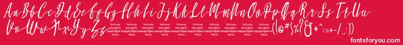 MollucaItalicFree Font – White Fonts on Red Background