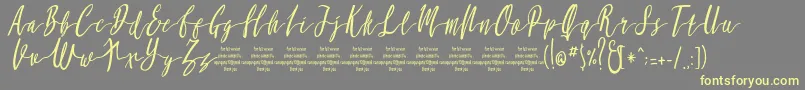 MollucaItalicFree-Schriftart – Gelbe Schriften auf grauem Hintergrund