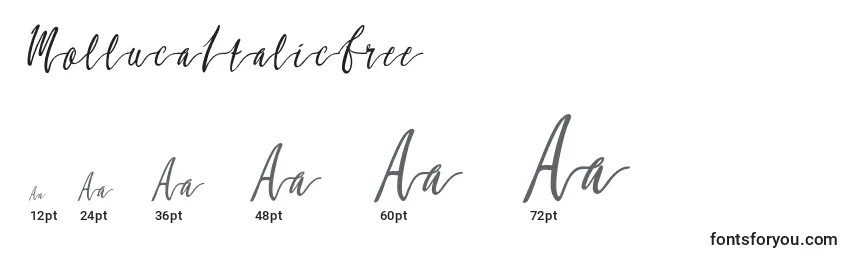 MollucaItalicFree Font Sizes