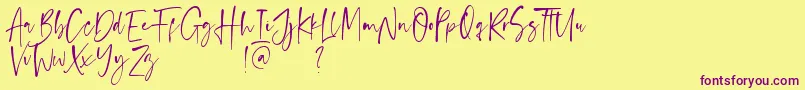 Anastacy Font – Purple Fonts on Yellow Background