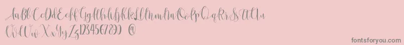 Anastasia  Font – Gray Fonts on Pink Background