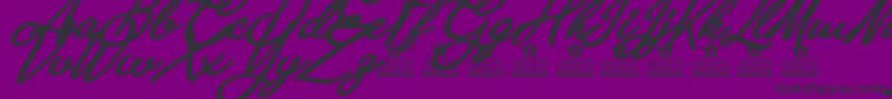 Anastasia Script Personal Use Font – Black Fonts on Purple Background