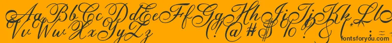 Anatomia  Font – Black Fonts on Orange Background