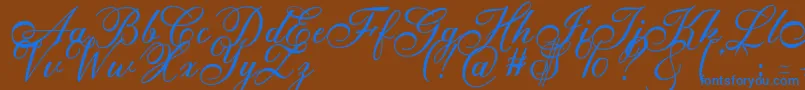 Anatomia  Font – Blue Fonts on Brown Background