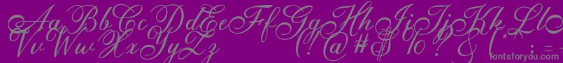 Anatomia -Schriftart – Graue Schriften auf violettem Hintergrund