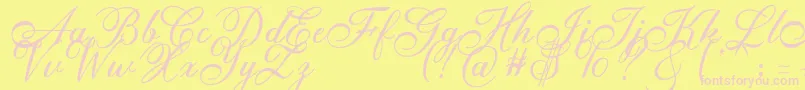 Anatomia  Font – Pink Fonts on Yellow Background