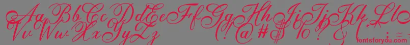 Anatomia  Font – Red Fonts on Gray Background