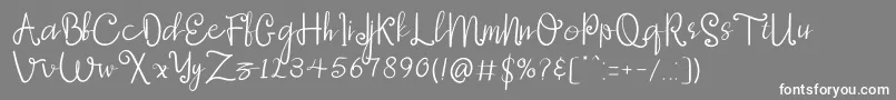 Anchorage Font – White Fonts on Gray Background