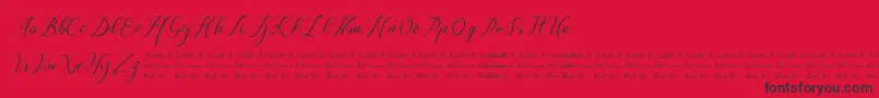Anchou Font – Black Fonts on Red Background