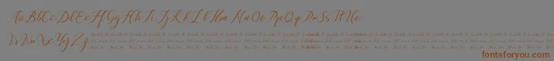 Anchou-Schriftart – Braune Schriften auf grauem Hintergrund