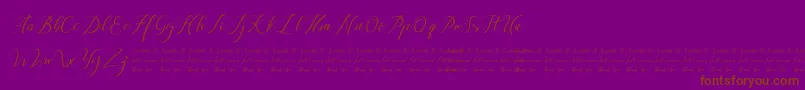 Czcionka Anchou – brązowe czcionki na fioletowym tle