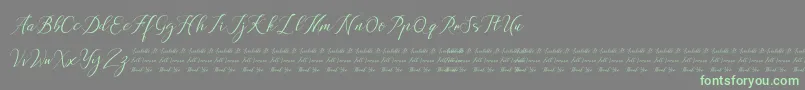 Anchou Font – Green Fonts on Gray Background