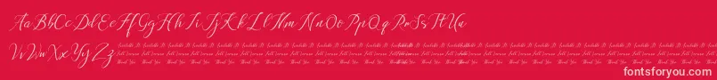 Anchou Font – Pink Fonts on Red Background