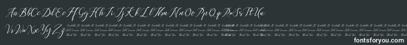 Anchou Font – White Fonts on Black Background