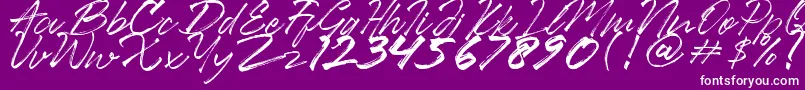 Ancient Font – White Fonts on Purple Background