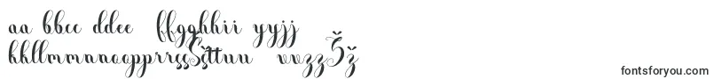 Andalas-Schriftart – litauische Schriften