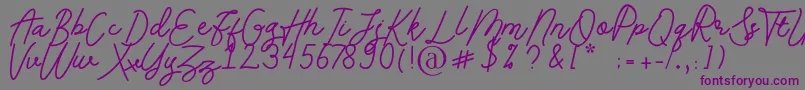 Andalusia Font – Purple Fonts on Gray Background