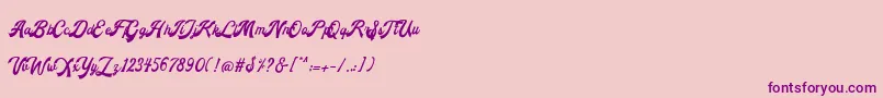 Andalusia Font – Purple Fonts on Pink Background