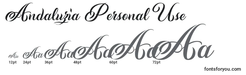 Размеры шрифта Andaluzia Personal Use