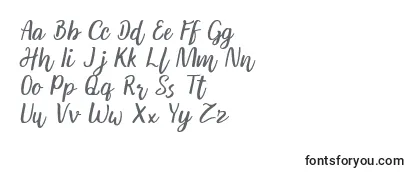 Überblick über die Schriftart Andaman Italic DEMO