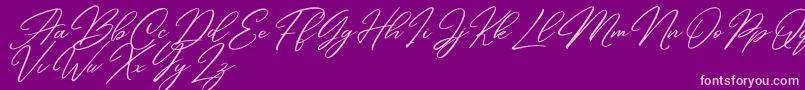 Andasia Demo-Schriftart – Rosa Schriften auf violettem Hintergrund