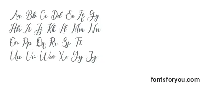Обзор шрифта Andayani