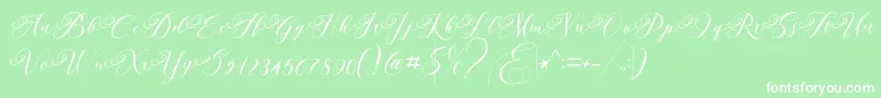 Andeglei Font – White Fonts on Green Background