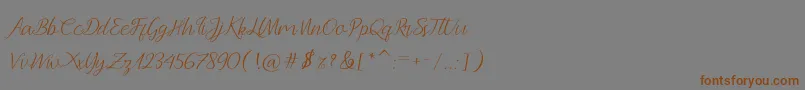 Andella Script Font – Brown Fonts on Gray Background