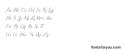 Andella Script Font