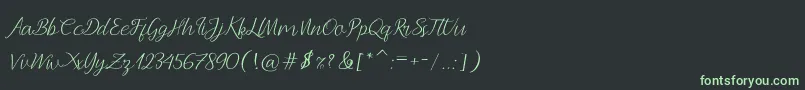 フォントAndella Script – 黒い背景に緑の文字