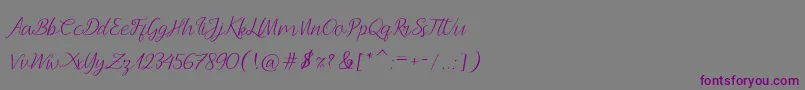 フォントAndella Script – 紫色のフォント、灰色の背景