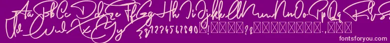 AnderfontFree Font – Pink Fonts on Purple Background