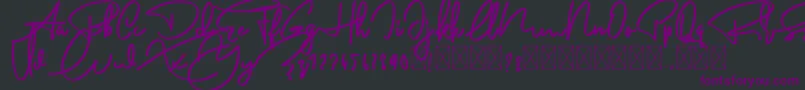 AnderfontFree Font – Purple Fonts on Black Background