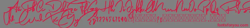 AnderfontFree Font – Red Fonts on Gray Background