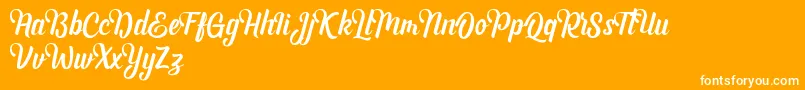 Andhyta DEMO Font – White Fonts on Orange Background