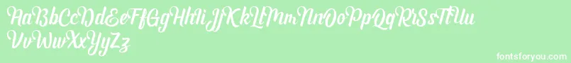 Andhyta DEMO Font – White Fonts on Green Background