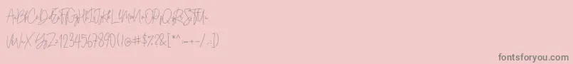 Andi Signature   Demo-Schriftart – Graue Schriften auf rosa Hintergrund