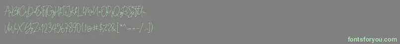 Andi Signature   Demo-Schriftart – Grüne Schriften auf grauem Hintergrund