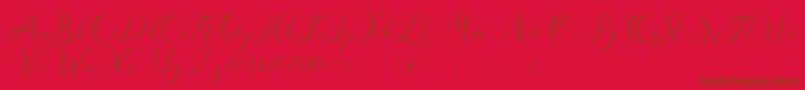 Andieny DEMO-Schriftart – Braune Schriften auf rotem Hintergrund