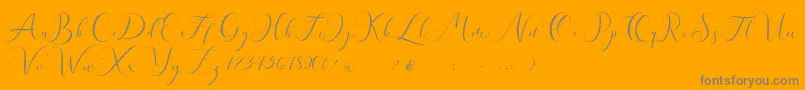Andieny DEMO Font – Gray Fonts on Orange Background