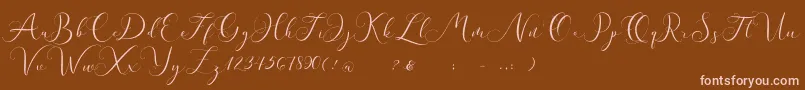 Andieny DEMO Font – Pink Fonts on Brown Background