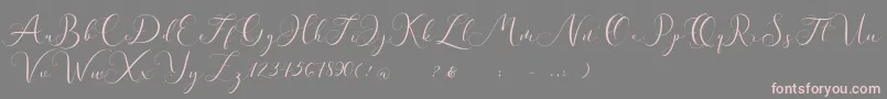 Andieny DEMO-Schriftart – Rosa Schriften auf grauem Hintergrund