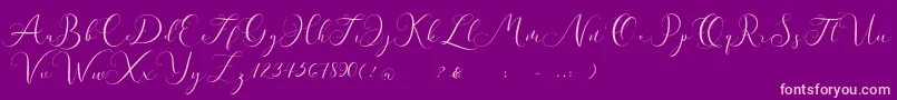 Andieny DEMO Font – Pink Fonts on Purple Background