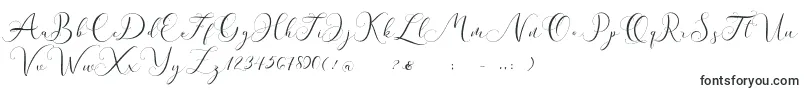 Andieny DEMO-Schriftart – Gravurschriften