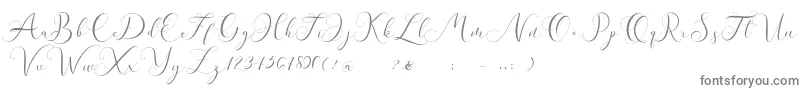 Andieny DEMO-Schriftart – Graue Schriften auf weißem Hintergrund