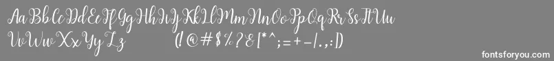 フォントandiney – 灰色の背景に白い文字