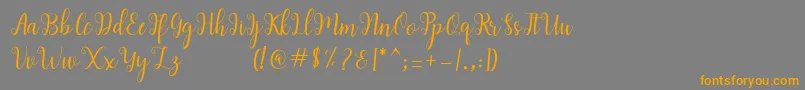 フォントandiney – オレンジの文字は灰色の背景にあります。