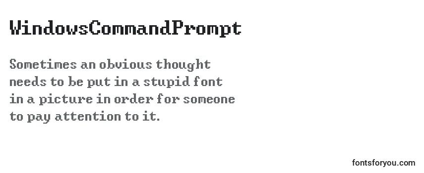 WindowsCommandPrompt Font