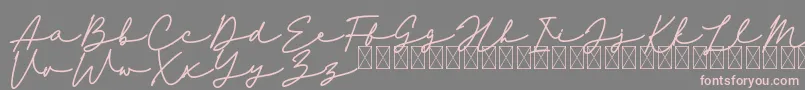 フォントAndolucia – 灰色の背景にピンクのフォント