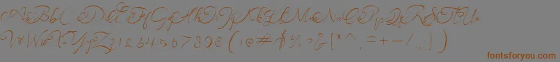 More about andora ardelion demo Font andora ardelion demo Font – Brown Fonts on Gray Background